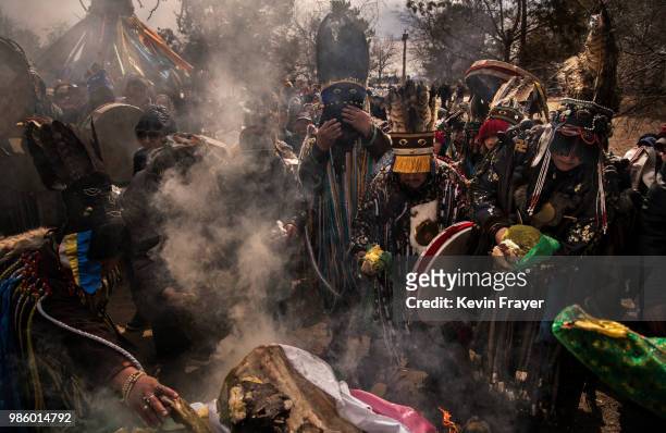 Mongolian Shamans or Buu, and their followers take part in a fire ritual meant to summon spirits at the Mother Tree on April 05, 2018 in Sukhbaatar,...