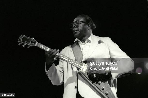 Albert King performs on stage during the Blues i Ritmes Festival at Parc Can Solei on July 8, 1991 in Badalona, Spain.