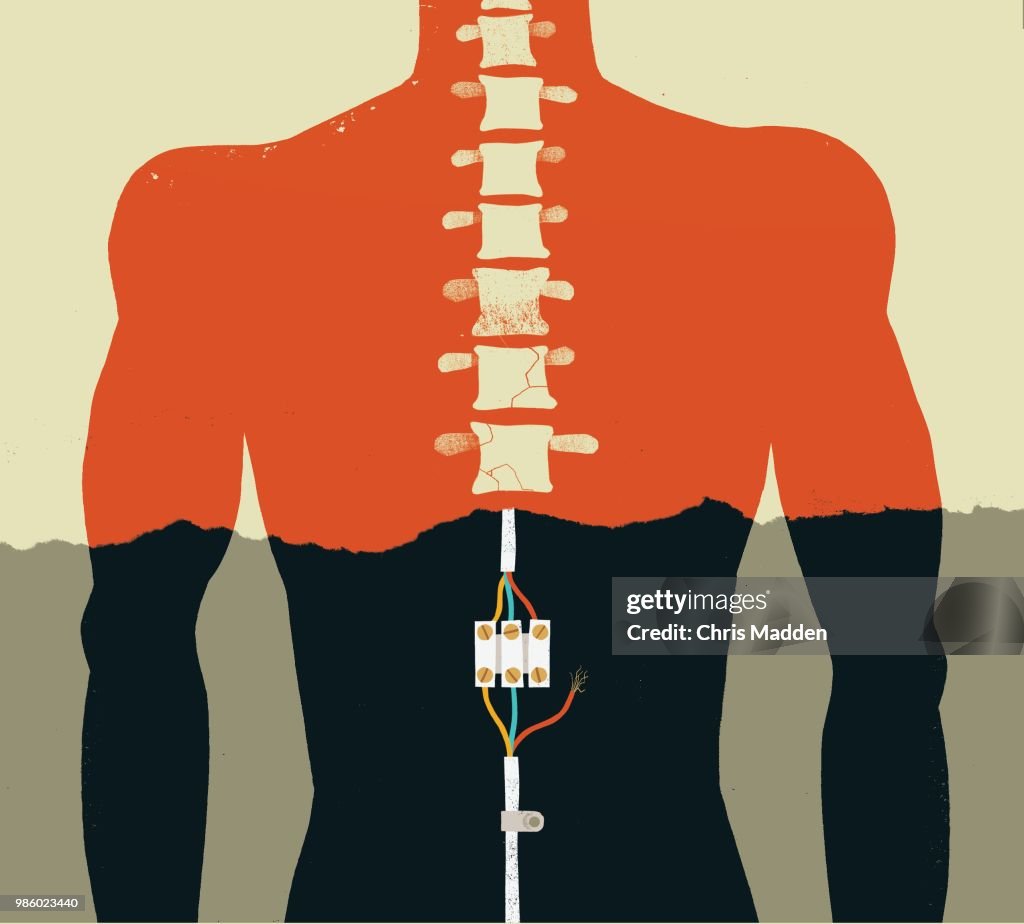 Spinal injury