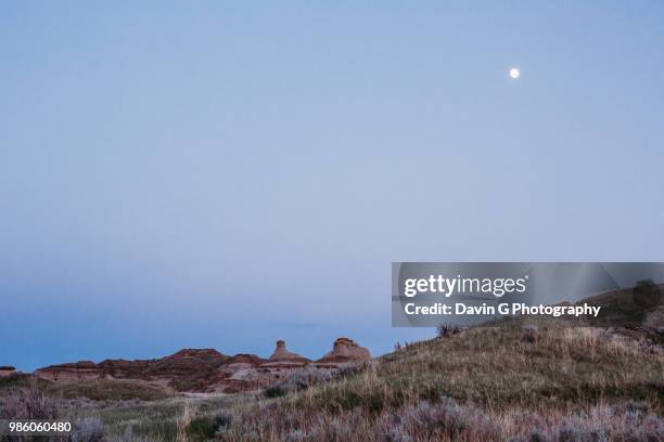 dinosaur provincial park - dinosaur provincial park imagens e fotografias de stock