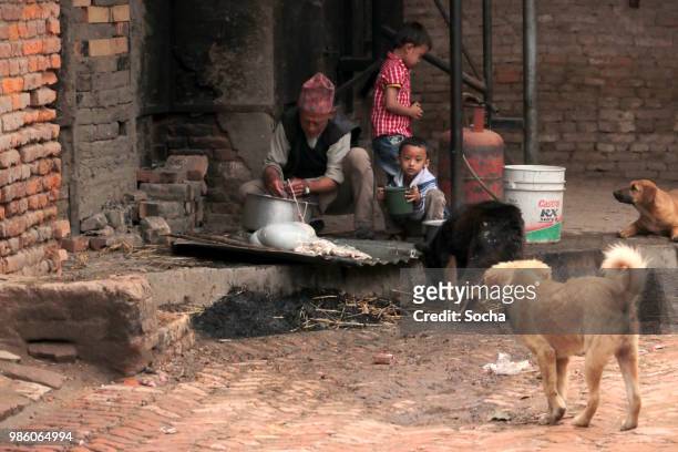 het slachten van een geit, nepal - animal digestive system stockfoto's en -beelden