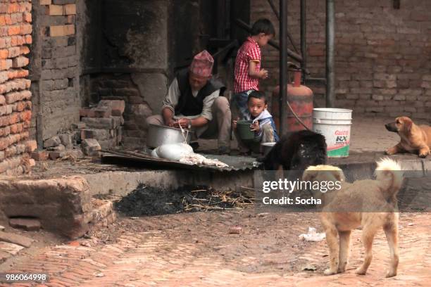 het slachten van een geit, nepal - animal digestive system stockfoto's en -beelden