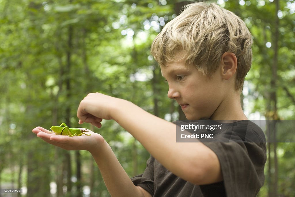 Child looking at Grasshopper