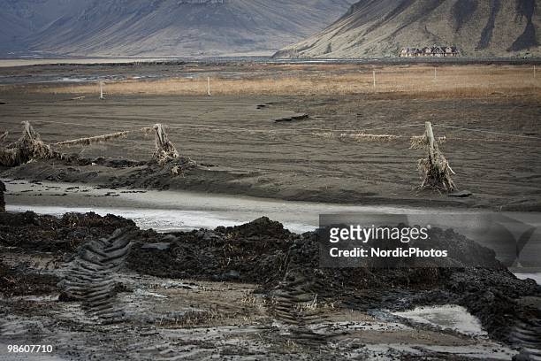Farm land is covered by a thick layer of ash from the Eyjafjallajokull, on April 21, 2010 in Skogar, Iceland. The ash is killing the pasture and...