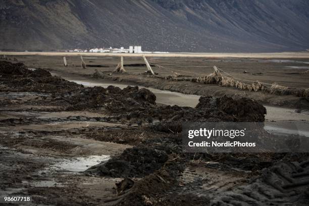 Farm land is covered by a thick layer of ash from the Eyjafjallajokull, on April 21, 2010 in Skogar, Iceland. The ash is killing the pasture and...