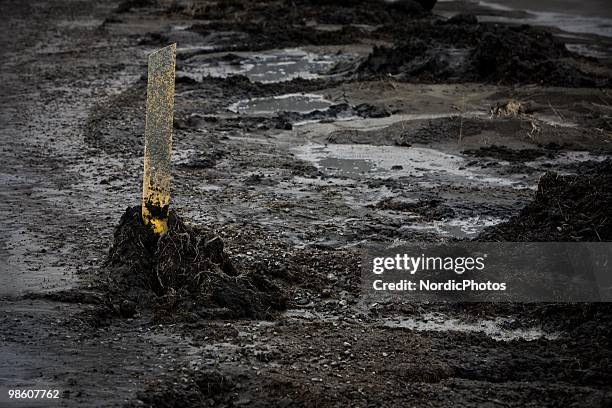 Farm land is covered by a thick layer of ash from the Eyjafjallajokull, on April 21, 2010 in Skogar, Iceland. The ash is killing the pasture and...