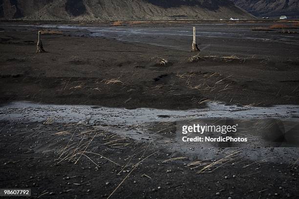 Farm land is covered by a thick layer of ash from the Eyjafjallajokull, on April 21, 2010 in Skogar, Iceland. The ash is killing the pasture and...