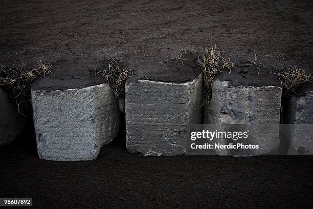 Stored fodder is covered by a thick layer of ash from the Eyjafjallajokull, on April 21, 2010 in Skogar, Iceland. The ash is killing the pasture and...