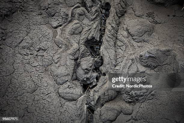 Close up of the ground which is covered by a thick layer of ash from the Eyjafjallajokull volcano, on April 21, 2010 in Skogar, Iceland. The ash is...