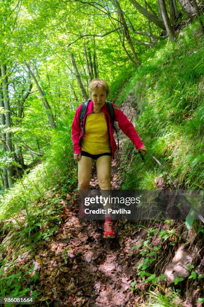 senior woman hiking in julian alps in spring, primorska, slovenia, europe - pavliha stock pictures, royalty-free photos & images