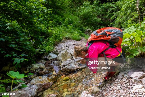 senior woman hiking in julian alps in spring, primorska, slovenia, europe - pavliha stock pictures, royalty-free photos & images