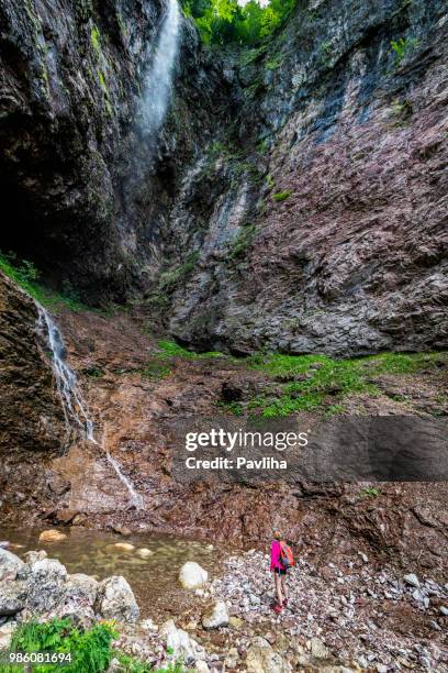 senior woman hiking in julian alps in spring, primorska, slovenia, europe - pavliha stock pictures, royalty-free photos & images