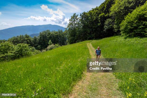 senior woman hiking in julian alps in spring, primorska, slovenia, europe - pavliha stock pictures, royalty-free photos & images