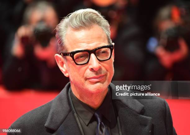 Actor Jeff Goldblum attends the opening night of the film 'Isle of Dogs' during the 68th Berlin international Film Festival 'Berlinale' in Berlin,...