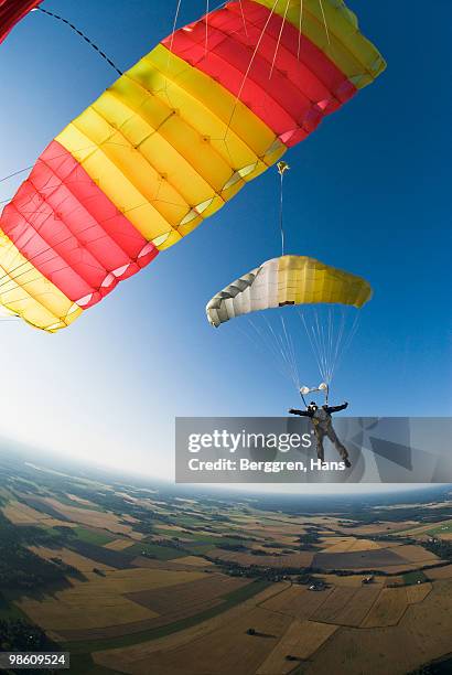 parachute jumpers in the sky, sweden. - ウップランド ストックフォトと画像