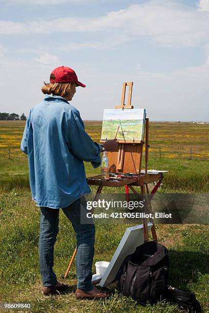 woman painting outdoors, sweden. - artist easel stock pictures, royalty-free photos & images