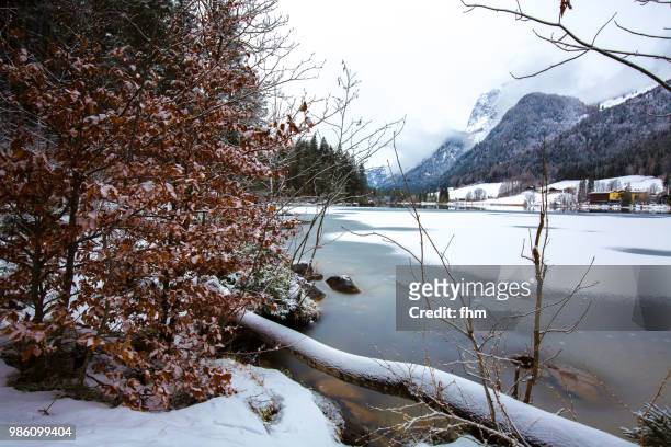 lake hintersee (berchtesgadener land, bavaria/ germany) - berchtesgaden national park 個照片及圖片檔