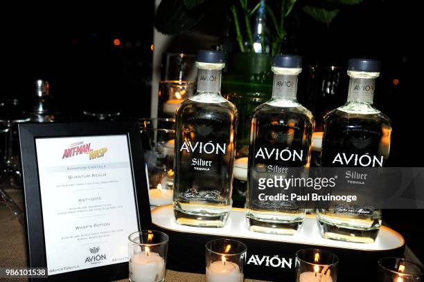 Atmosphere at The Cinema Society With Synchrony And Avion Host The After Party For Marvel Studios' "Ant-Man And The Wasp" at The Water Club...