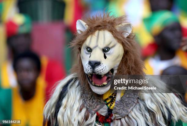 Fan enjoys the pre match atmosphere prior to the 2018 FIFA World Cup Russia group H match between Senegal and Colombia at Samara Arena on June 28,...