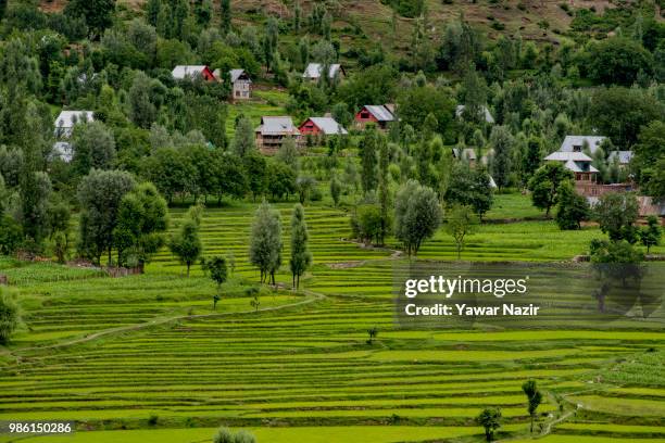 An over view of paddy fields on route to the Amarnath Hindu pilgrimage to the sacred Amarnath Caves, one of the most revered of Hindu shrines, on...