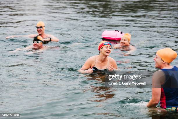 group of open water swimmers in a lake - open workout stockfoto's en -beelden