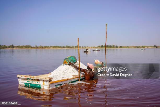 Man scoops buckets of salt off the floor of Lac Rose on the edge of Dakar, Senegal. Lac Rose is a saline lake that gets its color from a special type...