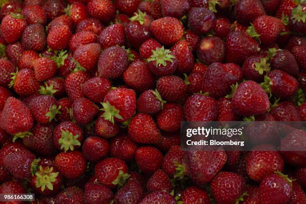 Strawberries are displayed for sale at the Boxx Berry Farm in Ferndale, Washington, U.S., on Monday, June 18, 2018. A plan to move quickly on...