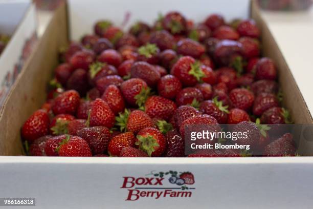 Strawberries are displayed for sale at the Boxx Berry Farm in Ferndale, Washington, U.S., on Monday, June 18, 2018. A plan to move quickly on...