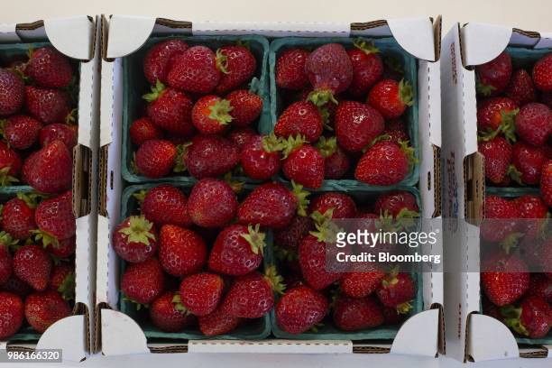 Strawberries are displayed for sale at the Boxx Berry Farm in Ferndale, Washington, U.S., on Monday, June 18, 2018. A plan to move quickly on...