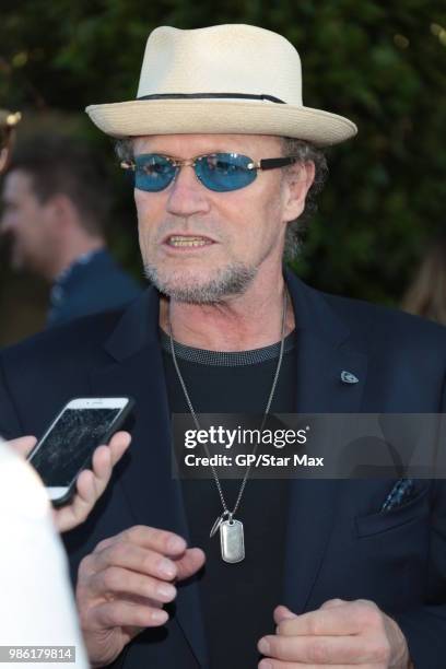 Michael Rooker is seen on June 27, 2018 in Los Angeles, CA.