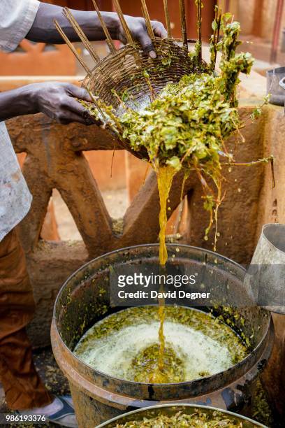 Leaves used as part of the bogolan dyeing process in Segou, Mali. Bogolan is a handmade Malian cotton fabric traditionally dyed with fermented mud...