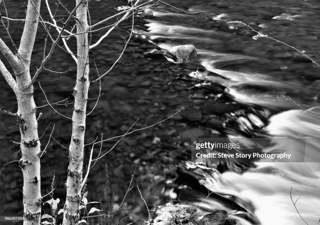 South Fork Walla Walla River