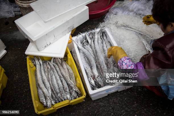 Woman arranges ribbon fish for sale at a fresh food market in Shanghai, China, on Saturday, Dec. 5, 2015.