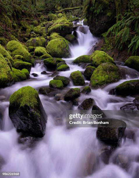 ruckel creek - bonham stock pictures, royalty-free photos & images