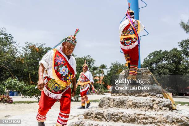 mexican voladores ceremony - unesco intangible cultural heritage list stock pictures, royalty-free photos & images