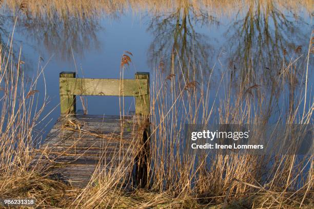 Irene Reed Photos and Premium High Res Pictures - Getty Images