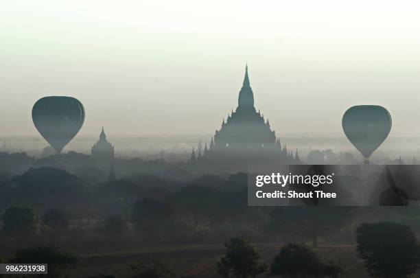 misty bagan - thee stock pictures, royalty-free photos & images