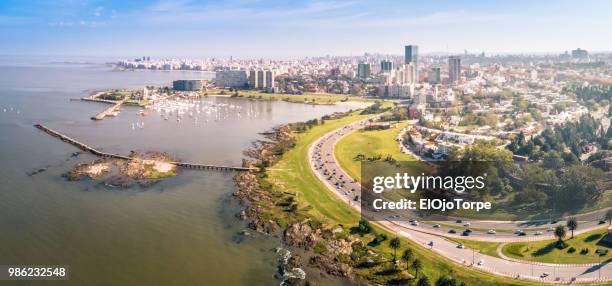 aerial view, high angle view of montevideo's coastline, puertito del buceo, pocitos neighbourhood, uruguay - buceo stockfoto's en -beelden