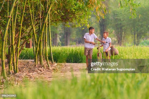 friendship and rice field - phitsanulok province stock pictures, royalty-free photos & images