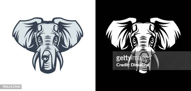 ilustraciones, imágenes clip art, dibujos animados e iconos de stock de silueta de vector de cabeza de elefante - elephant head