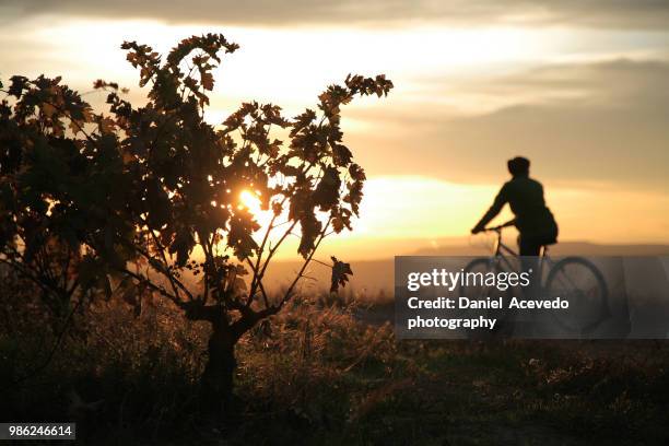 Sumer Foote 156 Sumer I Stock Photos, High-Res Pictures, and Images - Getty Images