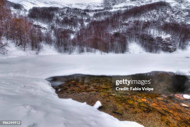 a window in the lake - volpe stock pictures, royalty-free photos & images