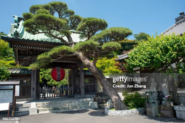 the gate of the hase temple of kamakura, japan - guanyin bodhisattva imagens e fotografias de stock