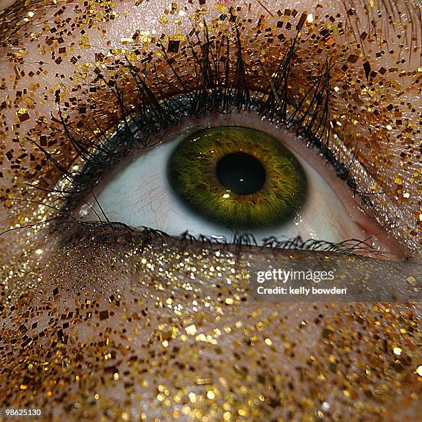 golden eye - kelly bowden stock pictures, royalty-free photos & images