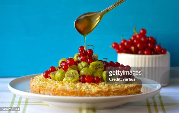 gooseberry currant cake - gooseberry - fotografias e filmes do acervo
