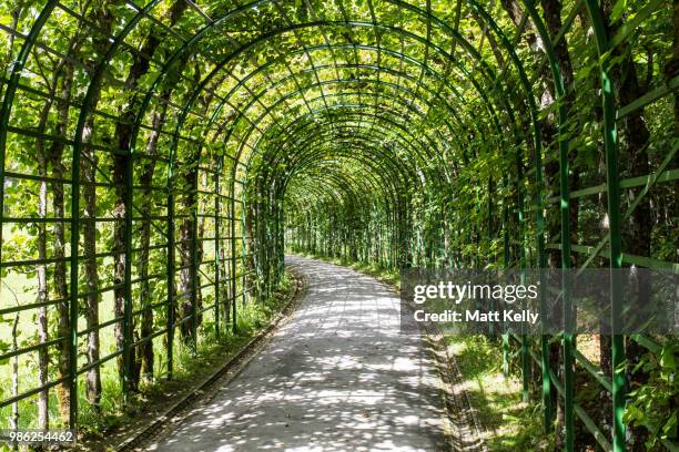 trellis at linderhof - linderhof stock pictures, royalty-free photos & images