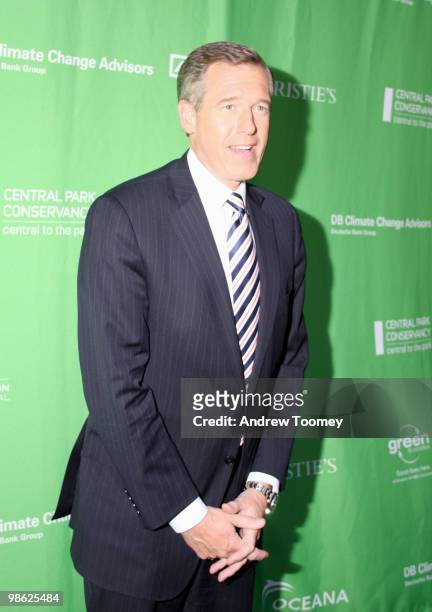 Brian Williams attends the A Bid to Save the Earth Green Auction at Christie's on April 22, 2010 in New York City.