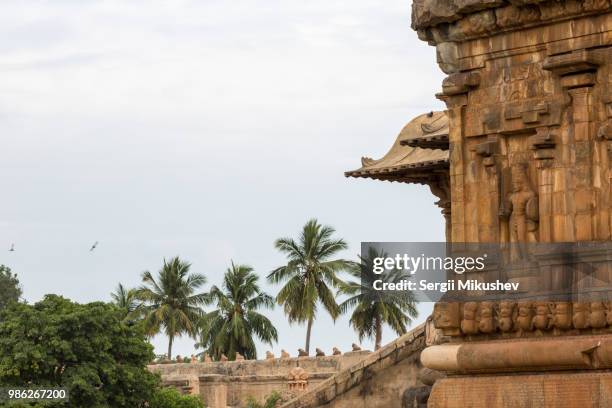 thanjavur temple - thanjavur stock pictures, royalty-free photos & images