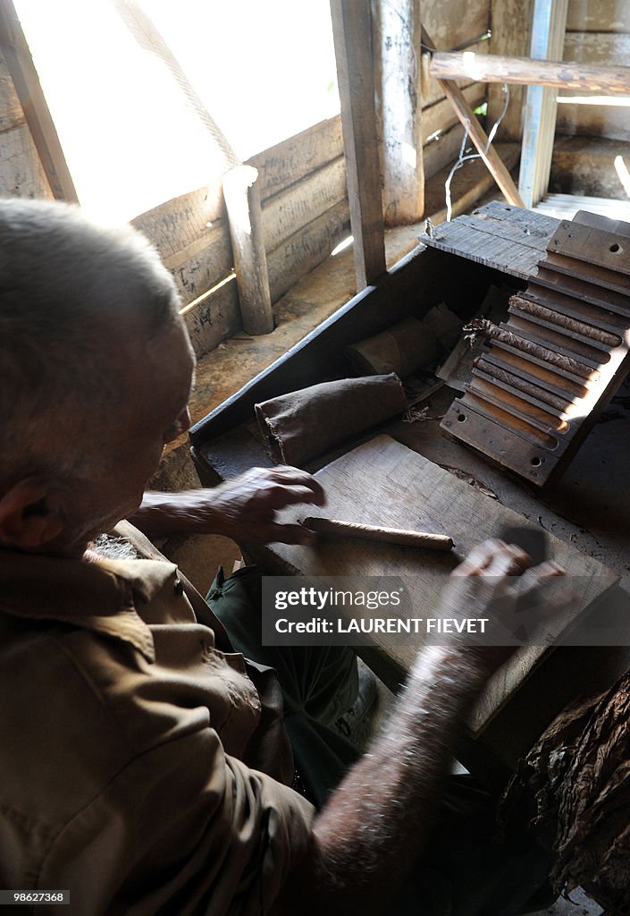 An employee at the Vegas Robaina plantat