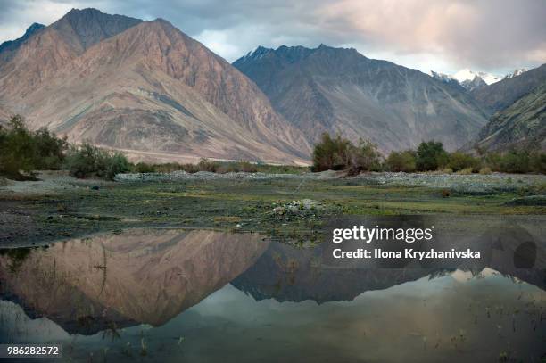 evening in nubra - nubra stock pictures, royalty-free photos & images